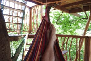 thumbnail: View from room