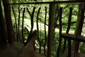 thumbnail: Water view