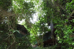 thumbnail: Exterior