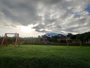 thumbnail: Primary image