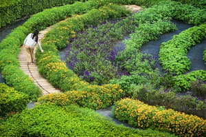 thumbnail: Garden