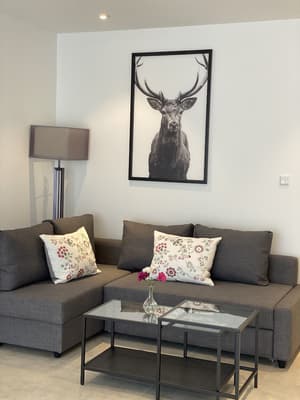 thumbnail: Living area