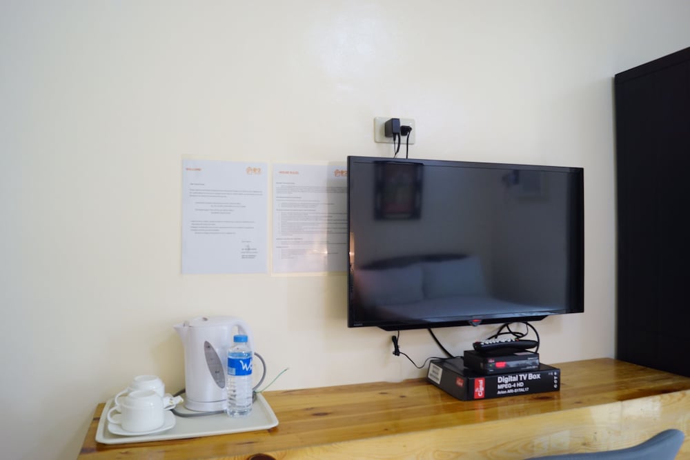 Television