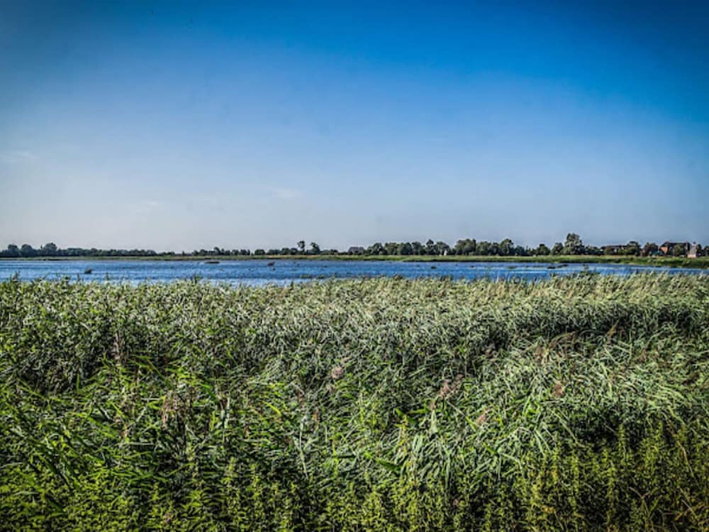 Water view