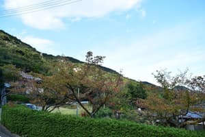 thumbnail: Garden