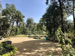 thumbnail: Garden view