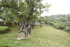 thumbnail: Garden