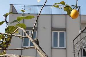 thumbnail: Exterior