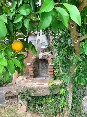 thumbnail: Garden