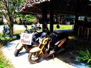thumbnail: Bicycling