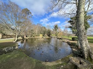 thumbnail: Property grounds