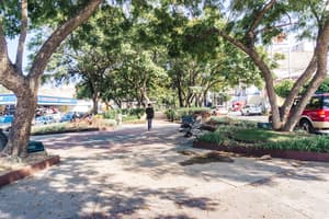 thumbnail: Park view