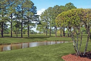 thumbnail: Property grounds