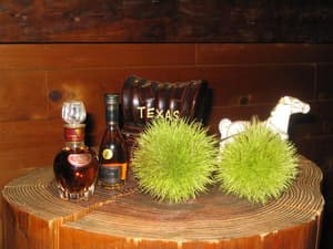 thumbnail: Property amenity