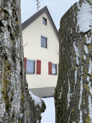 thumbnail: Exterior