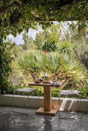 thumbnail: Terrace/patio