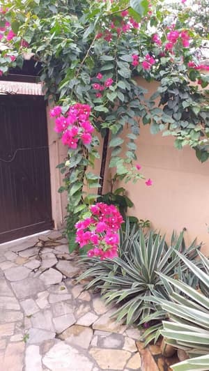 thumbnail: Interior entrance