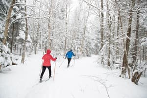 thumbnail: Skiing