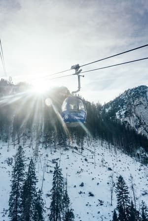 thumbnail: Snow and ski sports