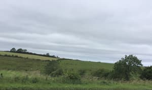 thumbnail: Property grounds