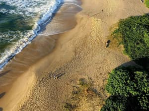 thumbnail: Beach