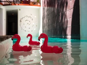 thumbnail: Pool