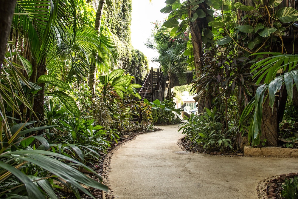 Garden view