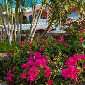 thumbnail: The Buccaneer Facade Flowers