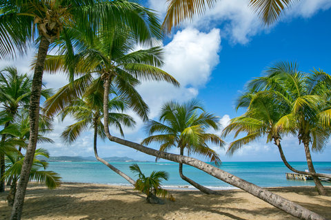 Mermaid Beach