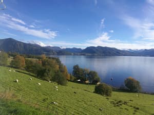 thumbnail: View from property