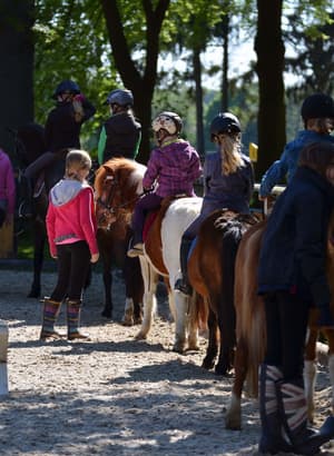 thumbnail: Horseback riding