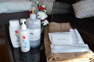 thumbnail: Bathroom amenities