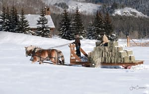 thumbnail: Snow and ski sports