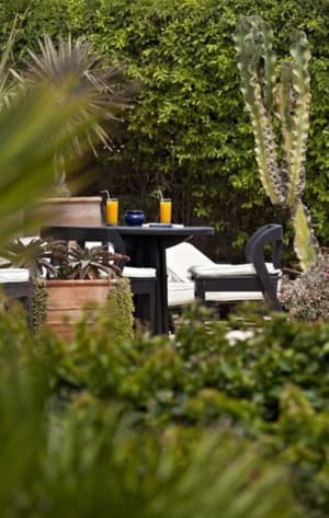 thumbnail: Garden