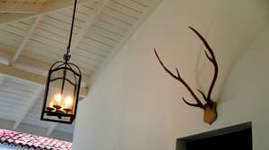 thumbnail: In-room dining