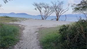 thumbnail: Beach