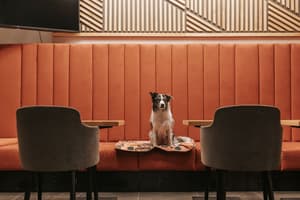 thumbnail: Restaurant