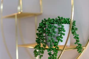 thumbnail: Interior detail
