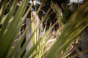 thumbnail: Garden