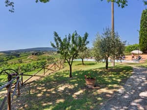 thumbnail: Garden