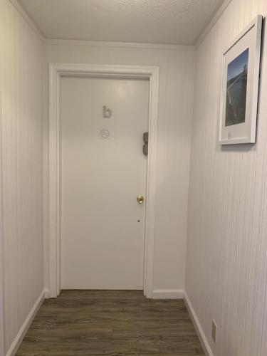 347706151.jpg