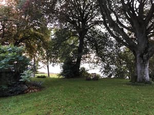thumbnail: Property grounds