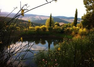thumbnail: View from property