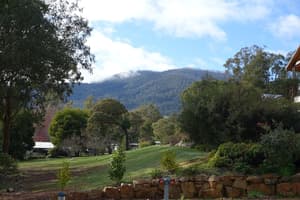 thumbnail: Garden
