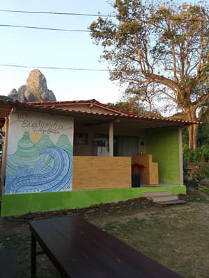 thumbnail: General view