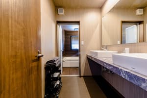 thumbnail: Bathroom sink