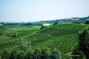 thumbnail: Land view from property
