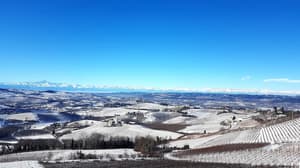 thumbnail: Aerial view