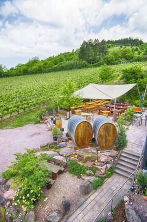 thumbnail: Front of property