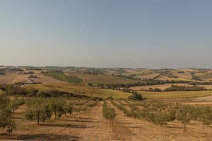 thumbnail: Land view from property